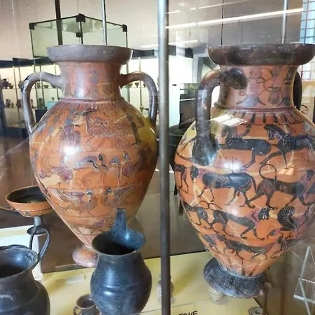 Colle Degli Ulivi Con Piscina E Sguardo Sul Mare Tatil Evi Cerveteri